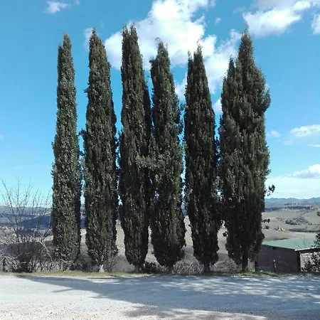 Martina * Castelnuovo Berardenga