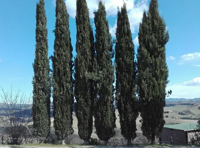 Martina * Castelnuovo Berardenga